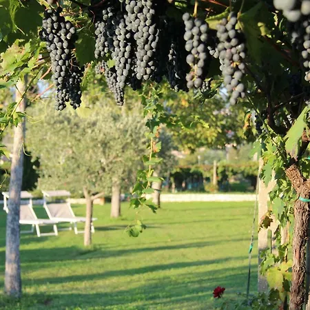 Campagnon Valpolicella Bed & Breakfast SantʼAmbrogio di Valpolicella